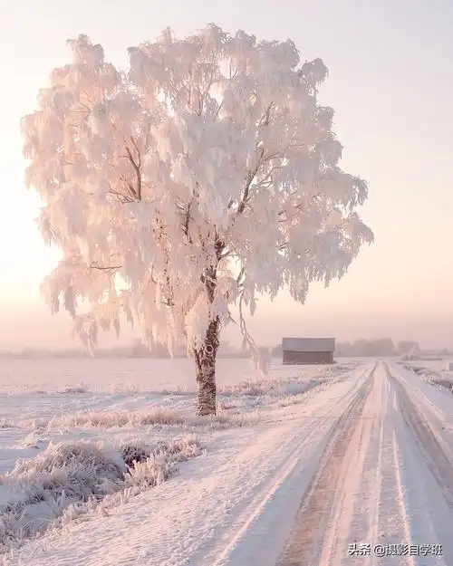 雪景拍照姿势大全图片(冬天拍照片相当美) - 赤虎壹号