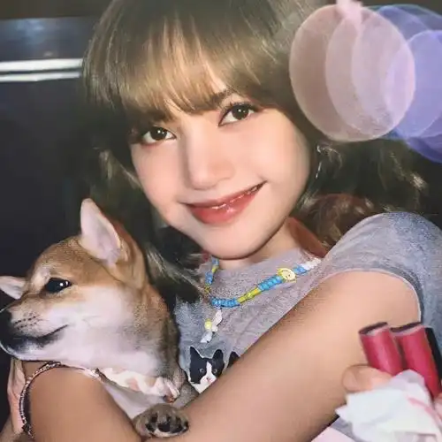 lisa blackpink:韩爱豆 - 最热门的kpop偶像社区