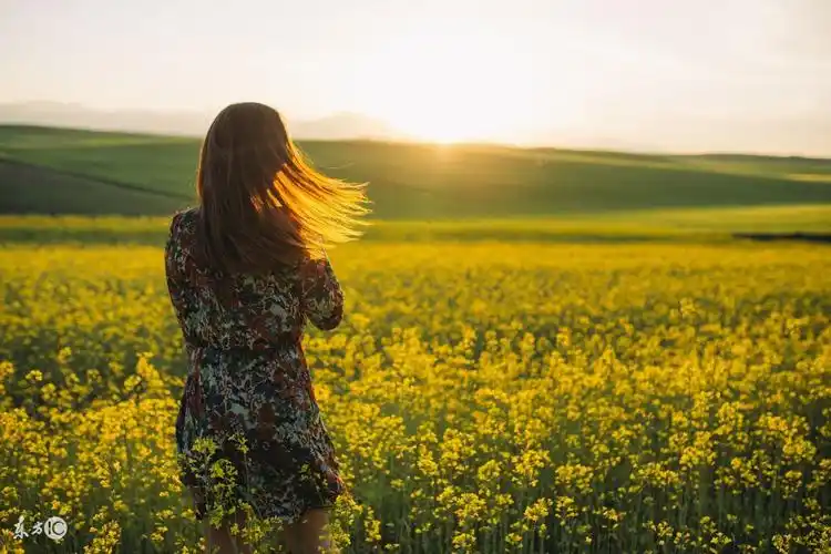 2021年农历八月属鼠运势 财运佳事业顺心_达一风水网