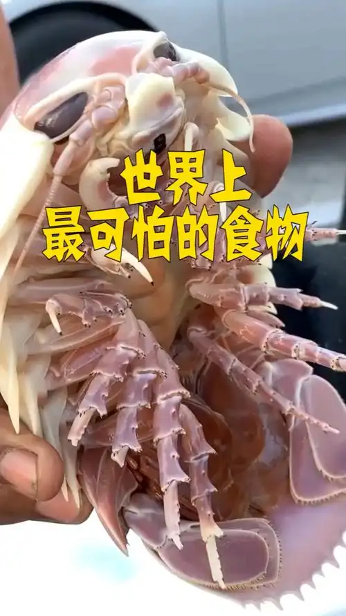 世界上最可怕的食物,保证你不敢尝试