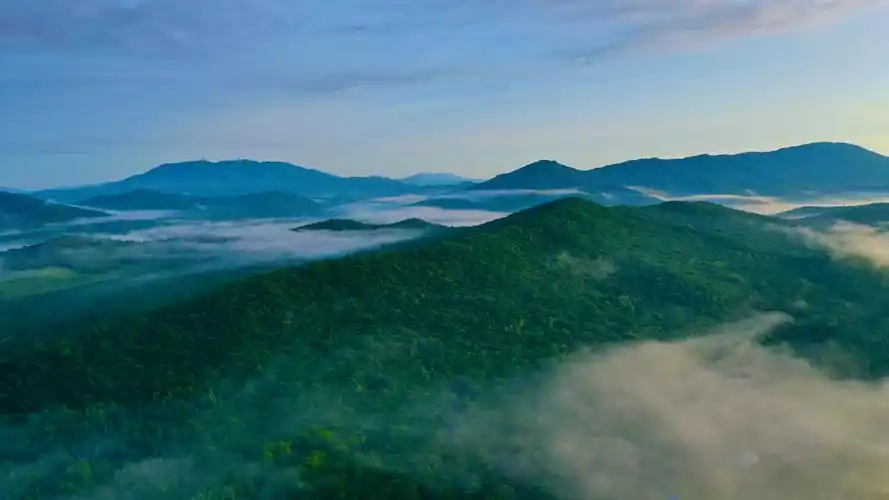 吉林省长白山林区