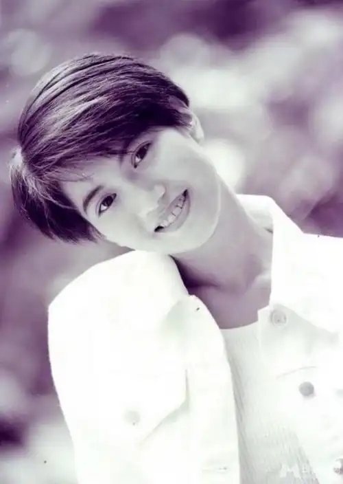 袁咏仪,1971年9月4日出生于香港特别行政区,毕业于香港理工大学,中国