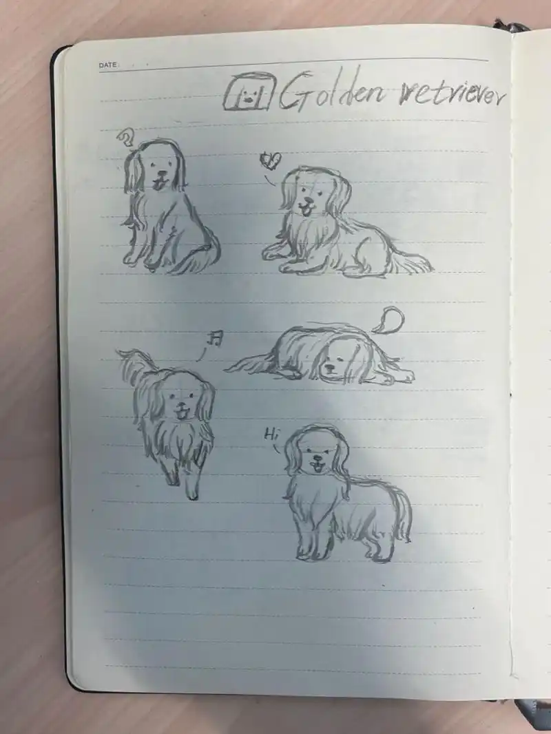 98狗狗简笔画100-13|金毛 狗狗简笔画第13弹!今天是小金毛!