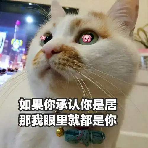 如果你承认你是居那我眼里就都是你眼里承认如果表情
