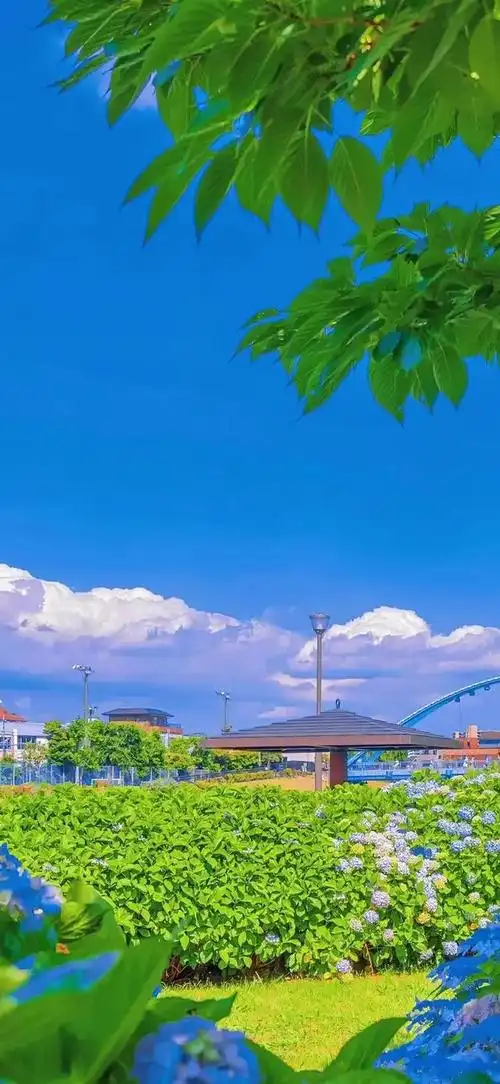 壁纸风景超清全面屏 日落:8k超清全面屏风景壁纸(12)