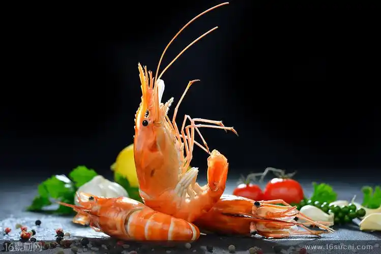 海鲜菜品中的鲜虾特写高清摄影图片