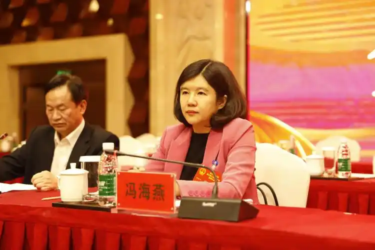 苏仙区五届人大四次会议举行负责人会议