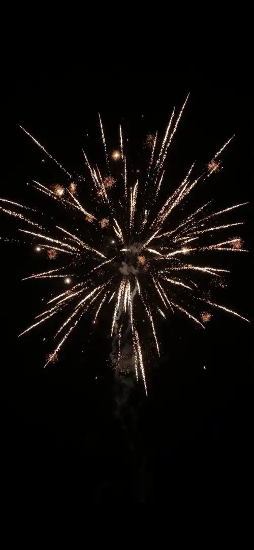 2021除夕夜浪漫烟花,高清图片,手机壁纸