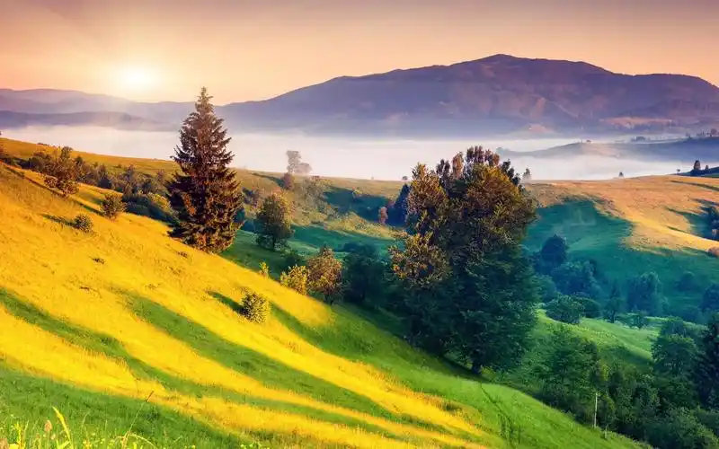 唯美意境的绿色风景桌面壁纸