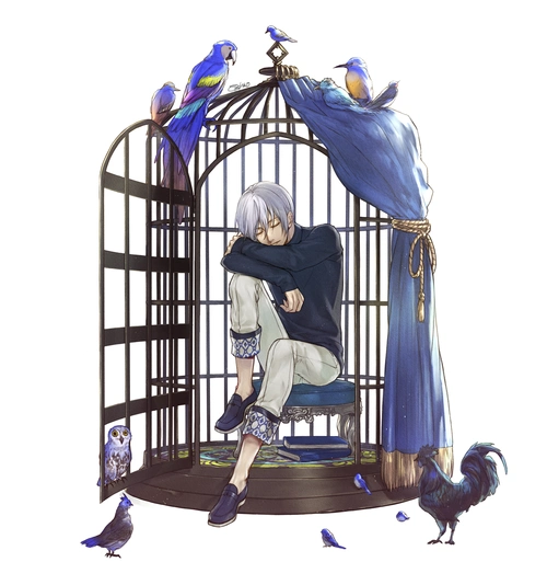 p站美图推荐——笼中鸟特辑-动漫之家新闻站