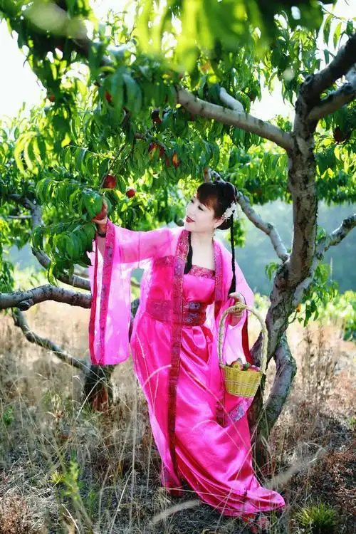 七仙女摘桃
