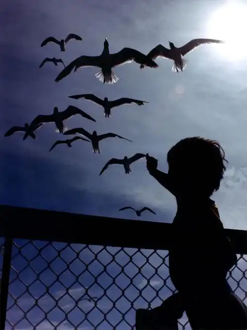 好看合照两张背影头像情侣一男一女在海边的才是最美