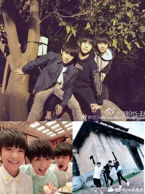 四叶草的力不从心,tfboys三小只的团糖越来越难磕了