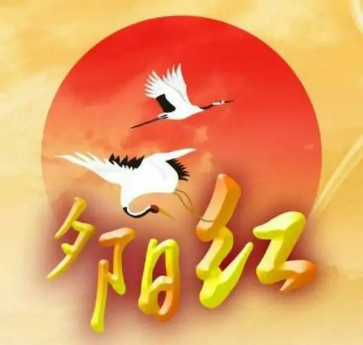 老年人的"夕阳红,快乐经",句句经典!