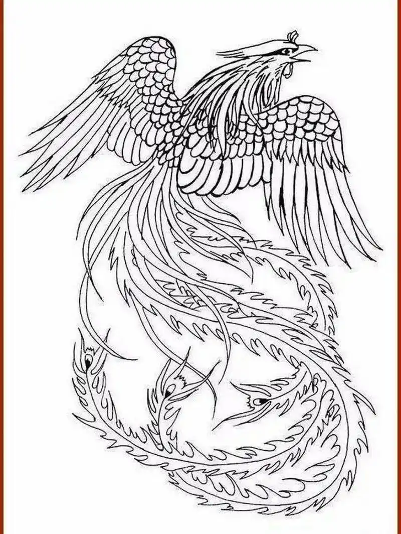 一组优美的凤凰白描线稿18图】 凤凰,亦作"凤皇",古代传说中的百鸟