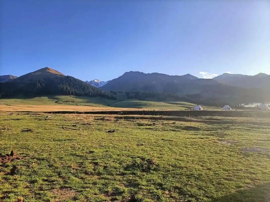 山坡地上的草原,坡度不大,山也并不高,但山峦起伏,山山相连, - 抖音