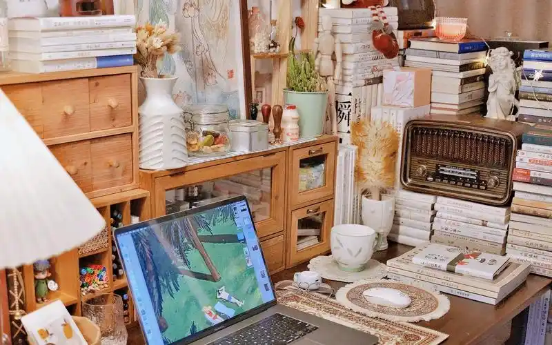 书桌改造vlog | 人生幻海 以书为舟 | 我把书桌改造成了图书馆_哔哩