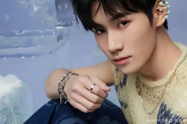 张真源新歌大片