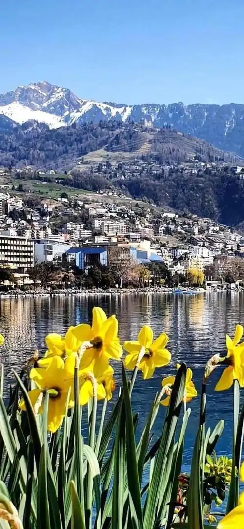 快手最火图片壁纸快手热门壁纸