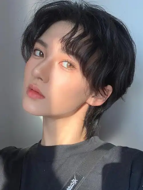 明星同款假发男鲻鱼头发型逼真蓬松整顶假发