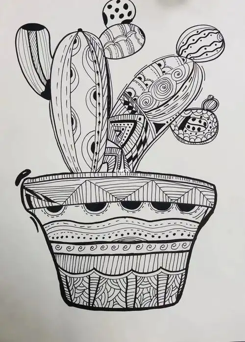 一起来画神奇植物吧56岁线描课05