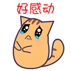 央视男主持人舞台上动情落泪瞬间,看完你感动了吗?