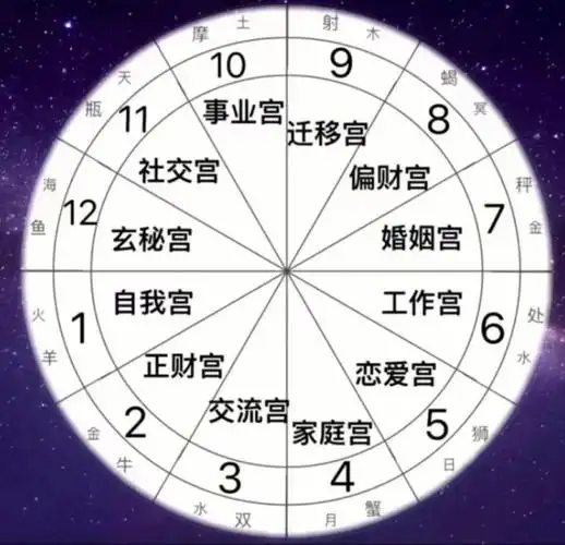 12宫位基本含义:第11566宫命宫:自己,命运,生命力,自我意识,外貌