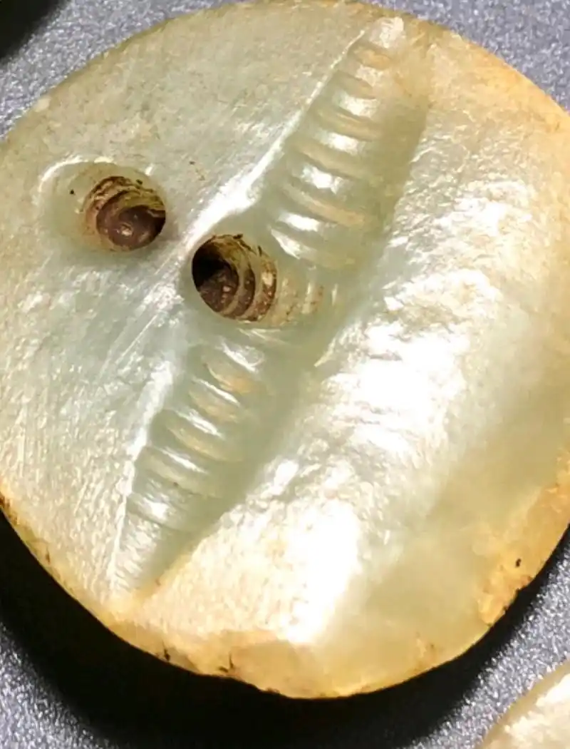 红山玉器"小扣子"