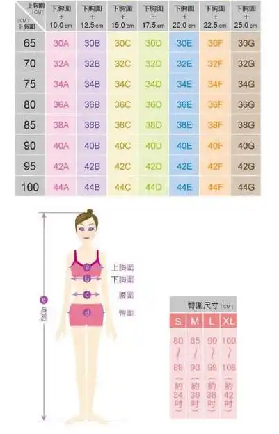 女生标准三围是多少-小薇女性时尚