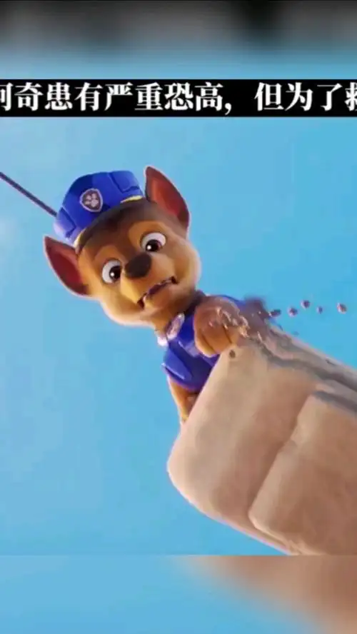 汪汪队的阿奇,战胜了恐高