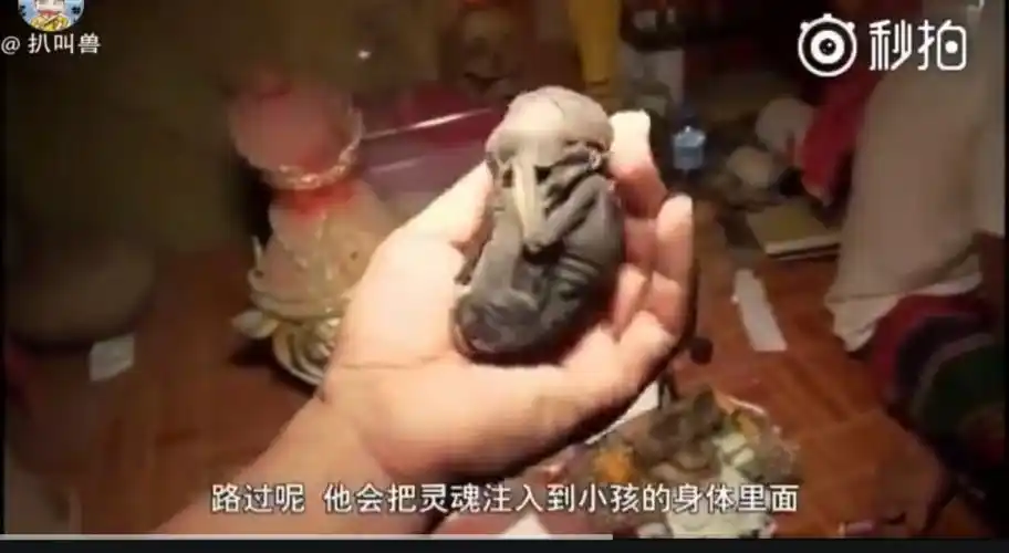 巜泰国的养小鬼真的可以改命吗?》