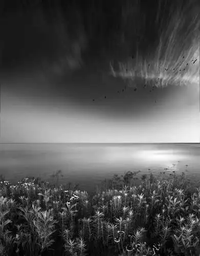 摄影师段岳衡创造的,有质感的极简黑白世界,唯美美妙