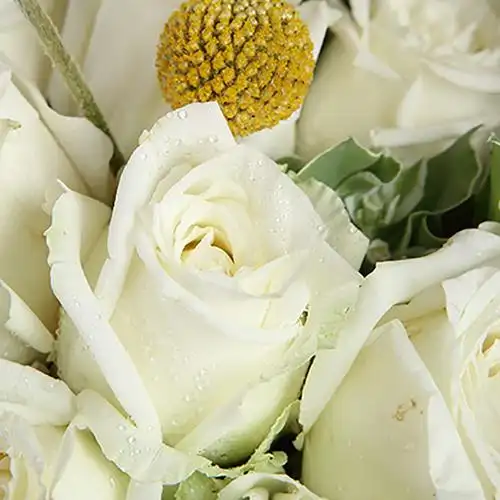 浪漫时光·10枝白玫瑰韩式花束