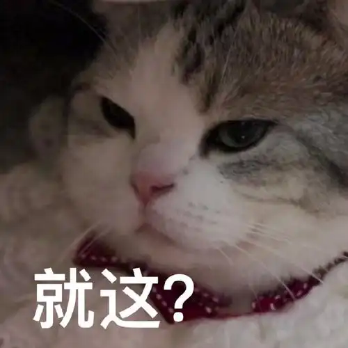 萌宠猫星人就这无语呆萌可爱gif动图_动态图_表情包下载_soogif