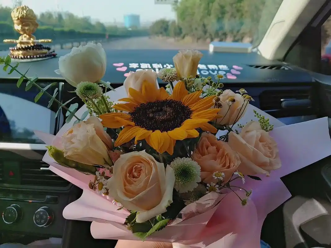 治愈系图片 2021.5.