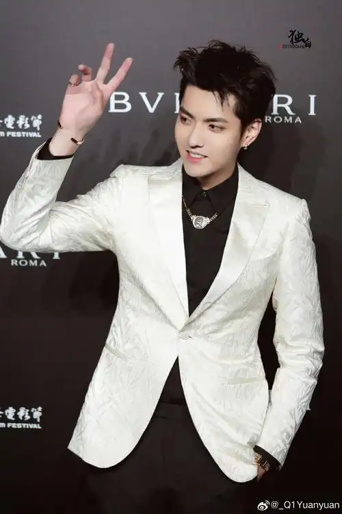 高奢的奢 是吴亦凡本人