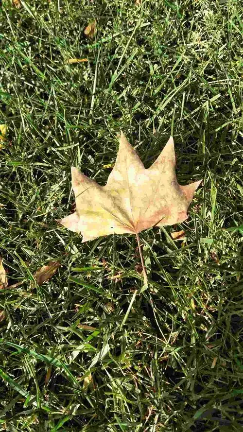 "一地鸡毛"的生活状态谁之错?