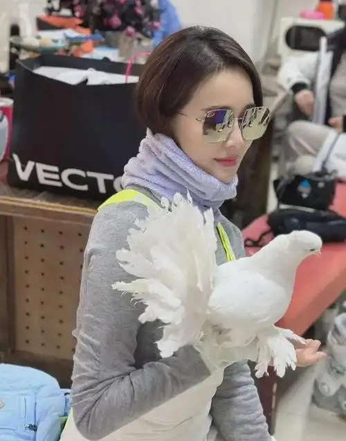 醉酒狼狈瘫倒后左小青晒照亮相引热议网友看来酒醒了