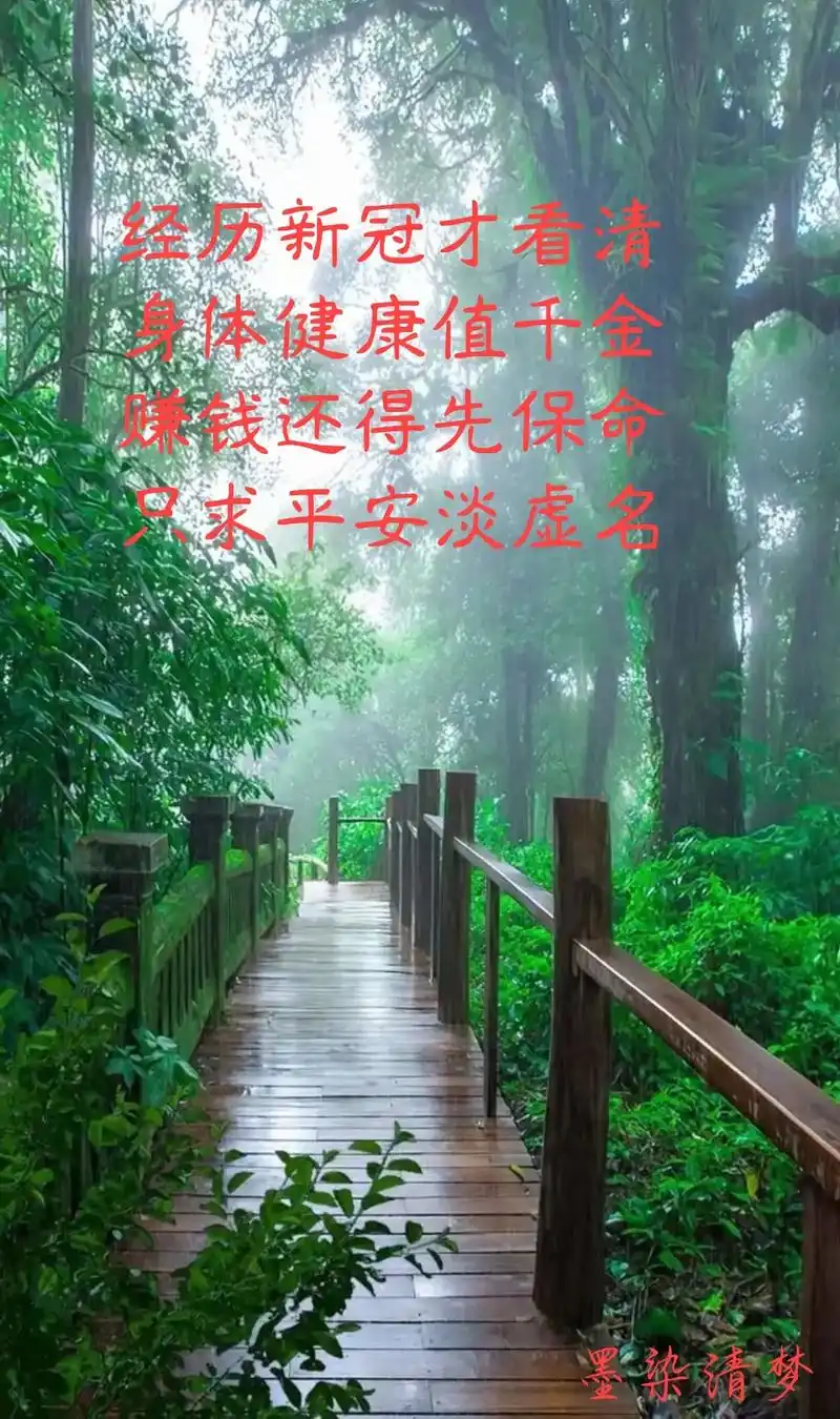 经历新冠才看清 身体健康值千金 赚钱还得先保命 只求平安淡虚 - 抖音