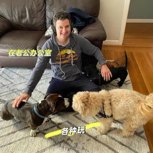 今天感受到了狗狗们和我在一起和和我老公在一起的完全不同的两面.