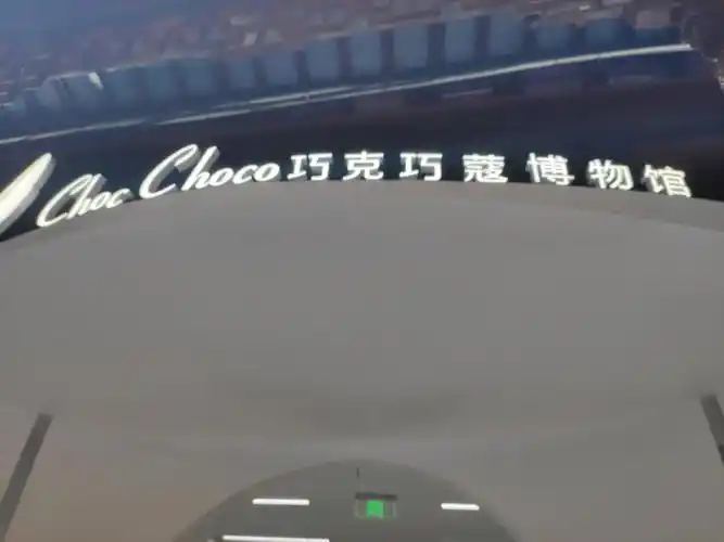 豫园商城和校场临近位置有个巧克巧蔻博物馆,1楼有很多用巧克力做的