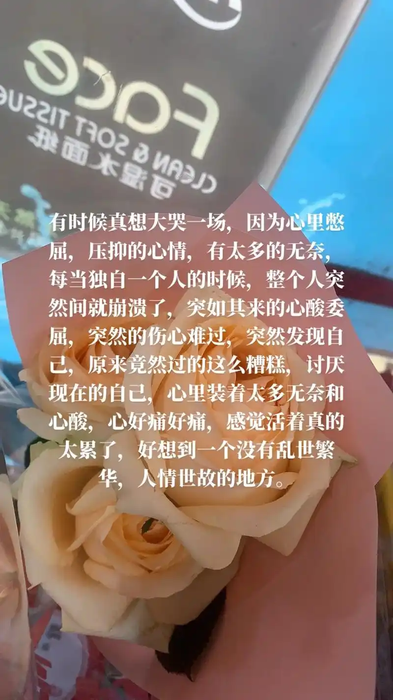 有时候真想大哭一场,因为心里憋屈,压抑的心情,有太多的无奈