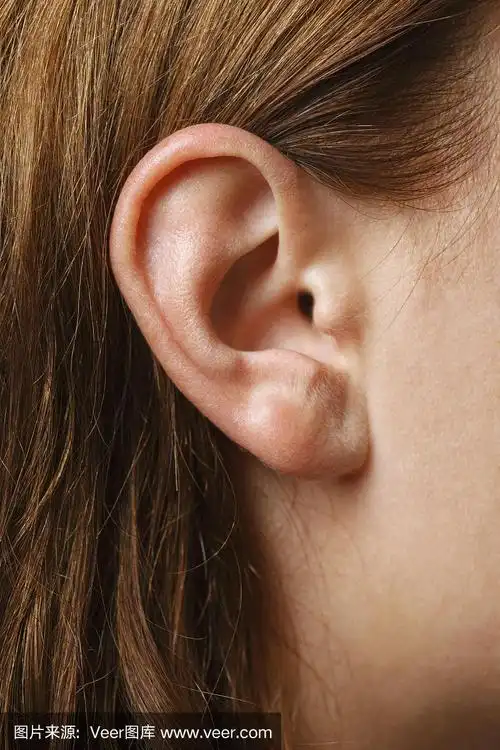 一个女人的耳朵的特写