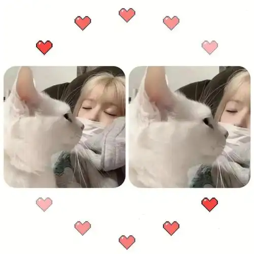 快和你的对象换上好看的情头吧#对象不是人系列  #情头  #优质情头