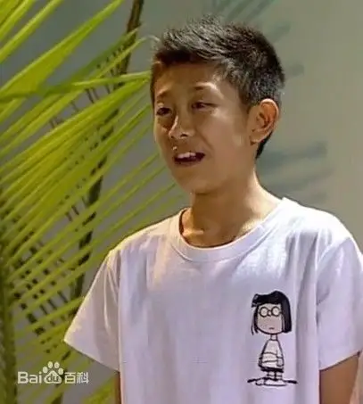 展开全部 《家有儿女》刘星剧照