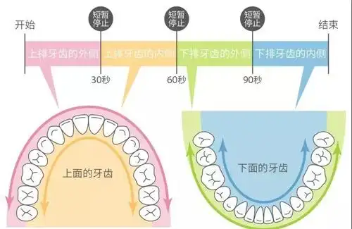 学会重视牙齿:belulu电动牙刷