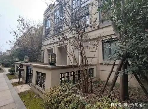 探访合肥大蜀山旁最便宜别墅