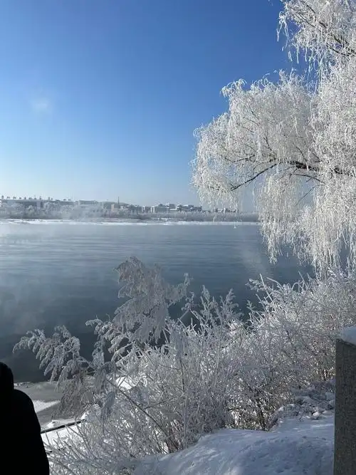 一张照片晒晒雪天
要说什么地方最像人间仙境,那就得是吉林市啊