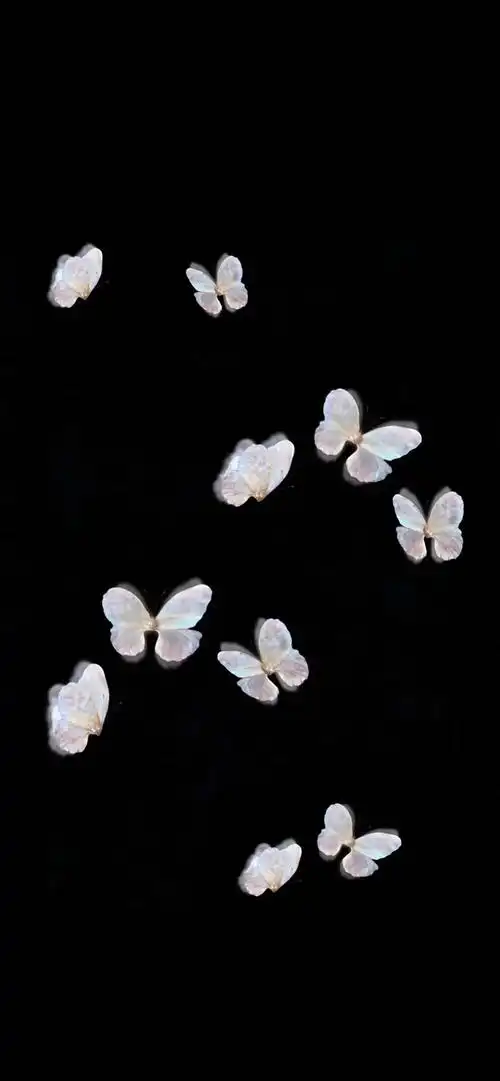 蝴蝶壁纸ins潮图