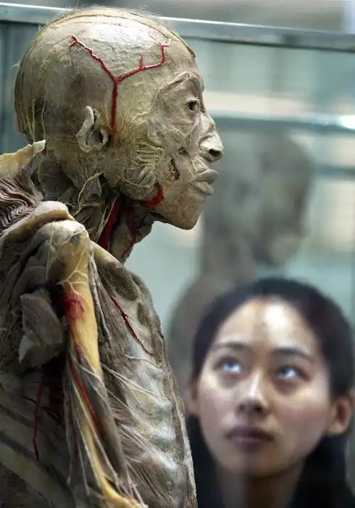 组图:生命终结 身体永存